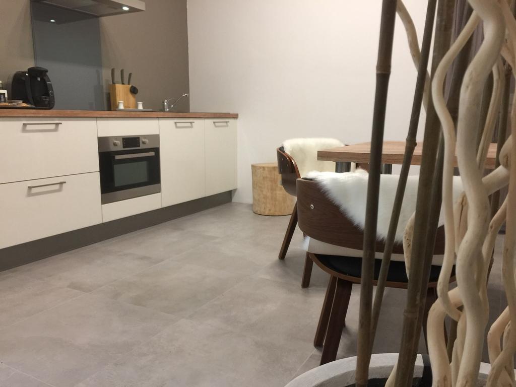 Loft Spa - Cote Chateau. Καρκασόν Εξωτερικό φωτογραφία