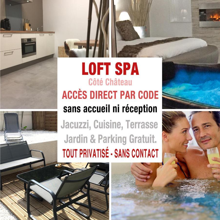 Loft Spa - Cote Chateau. Καρκασόν Εξωτερικό φωτογραφία
